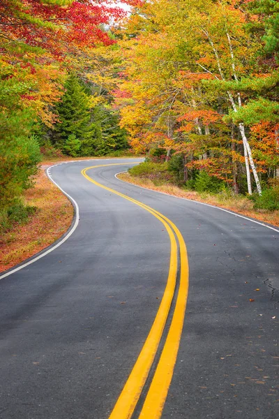 Curve stradali sinuose tra alberi fogliari autunnali nel New England — Foto Stock