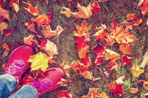 Feet in sneakers standing on colorful leaves in autumn park