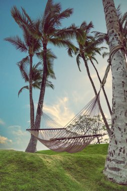 Tropik bir tatil köyünde iki palmiye ağacının arasında asılı boş bir hamak. Gün batımından önce mavi akşam gökyüzü. 