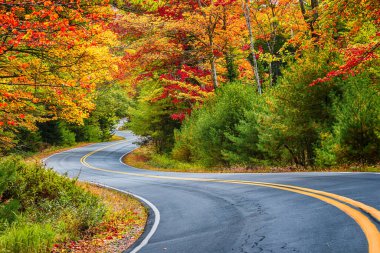Virajlı yol New England 'daki manzaralı sonbahar yaprakları arasında kıvrılır..