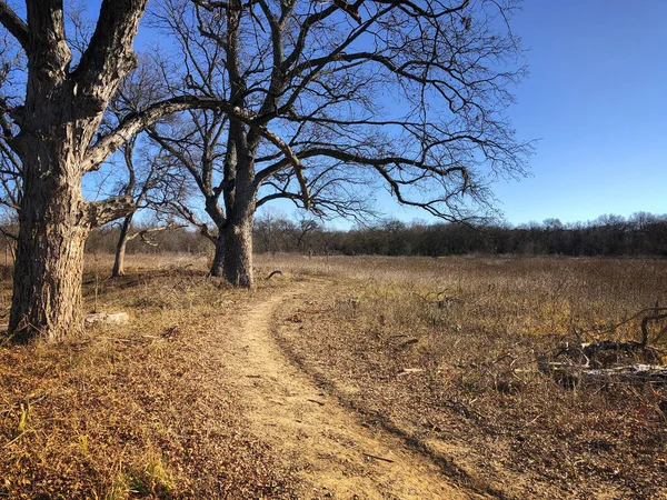 Randonnées Pédestres Équestres Texas Par Une Belle Journée Hiver — Photo