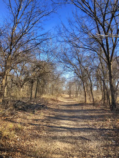 Randonnées Pédestres Équestres Texas Par Une Belle Journée Hiver — Photo