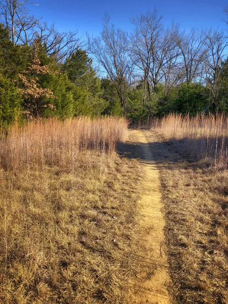 Hiking and equestrian nature trails in Texas on a beautiful winter day