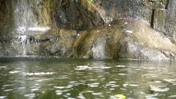 瀑布和岩石在自然 — 图库视频影像