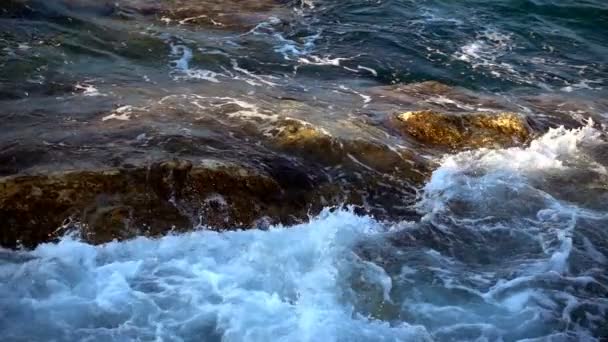 Onde Schiuma Rocce — Video Stock