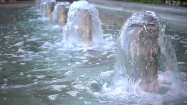 水池喷泉和自然 — 图库视频影像