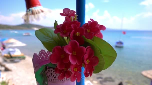 Imitation Blumen Topf Und Urlaub Meer — Stockvideo