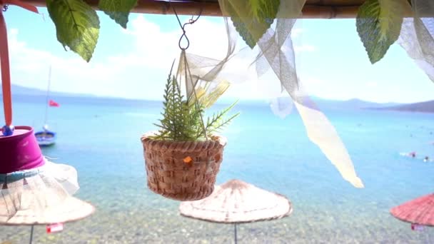 Imitation Flowers in Pot and Holiday Seaside — Stock Footage Imitation Flowers Pot Holiday Seaside Stock Video