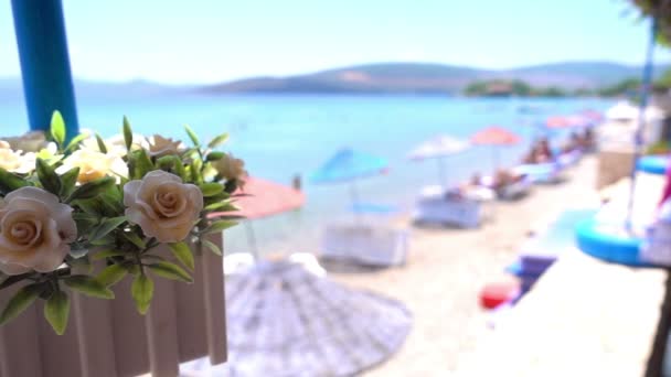 Imitation Flowers in Pot and Holiday Seaside — Stock Footage Imitation Flowers Pot Holiday Seaside Royalty Free Stock Footage