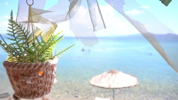 Imitazione Fiori Pot Vacanze Mare — Video Stock