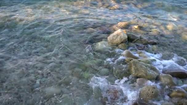 Onde Pietre Marine — Video Stock