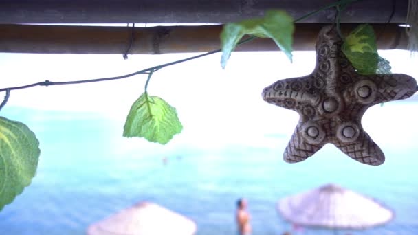 Dry Sea Star Leaves Beach — Stock Video