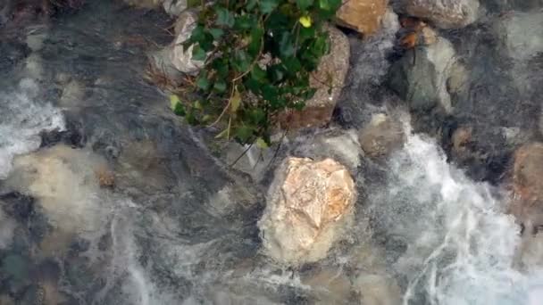 Cascata Selvaggia Nella Natura Nelle Rocce — Video Stock