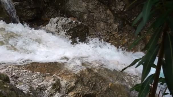 Cascade Sauvage Dans Naturewild — Video