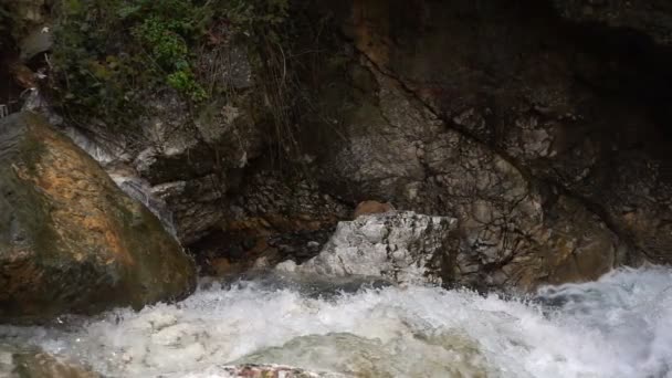 Cascade Sauvage Dans Naturewild — Video