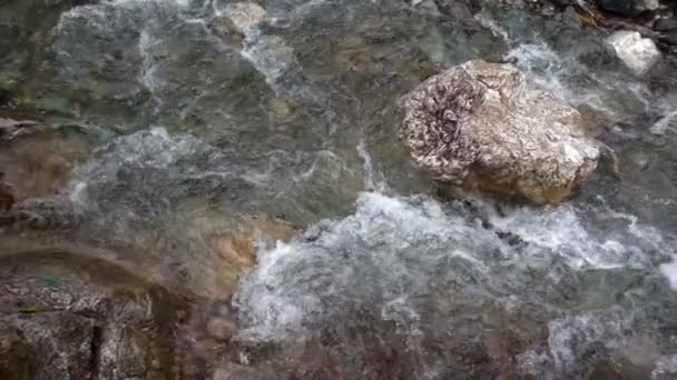 Cachoeira Selvagem Natureza Rochas — Vídeo de Stock