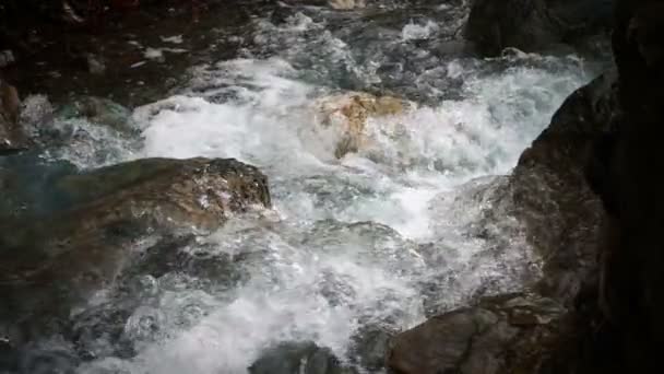 Vilda Vattenfallet Naturen Och Stenar — Stockvideo