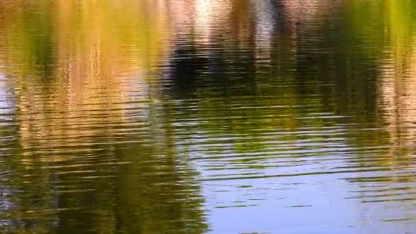 Schöne Grüne See Wasser Hintergrund — Stockvideo