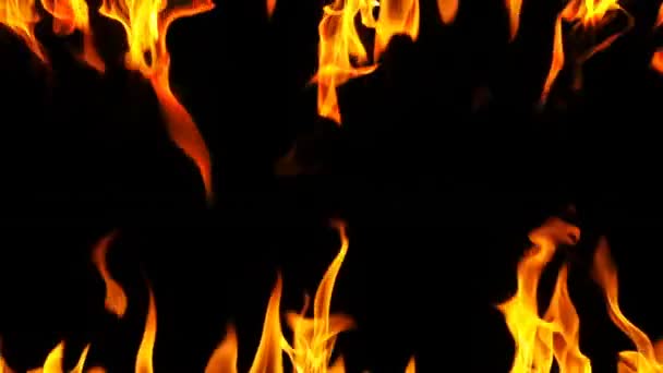 Tűz Égett Keret Veszély — Stock videók