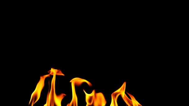 Fire Abstract Background — Stock Video