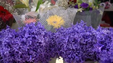 Mor çiçekler ve güzel çiçekler