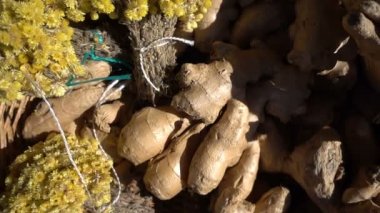 patates ve sebze arka plan