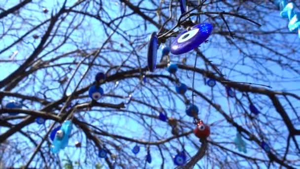 五颜六色的邪恶眼珠护身符上的树 — 图库视频影像