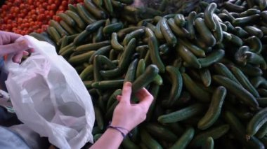  Naylon Pochette Salatalık Ekleme