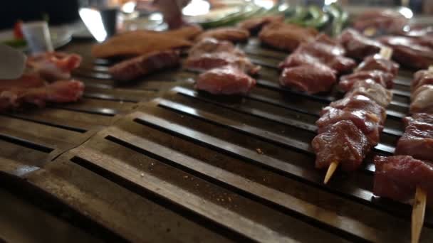 肉食バーベキューの混合物 — ストック動画