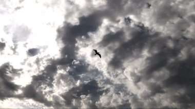 Karanlık Epik Bulutlar Zaman Atlamalı.