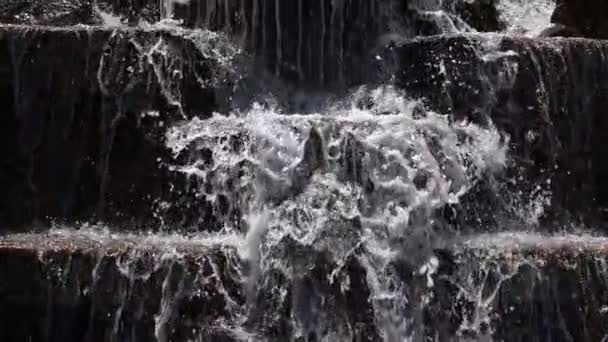 水池和水流 — 图库视频影像