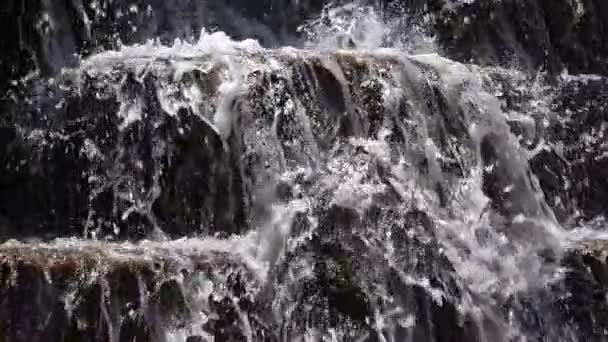 Wasserbecken Und Wasserdurchfluss — Stockvideo