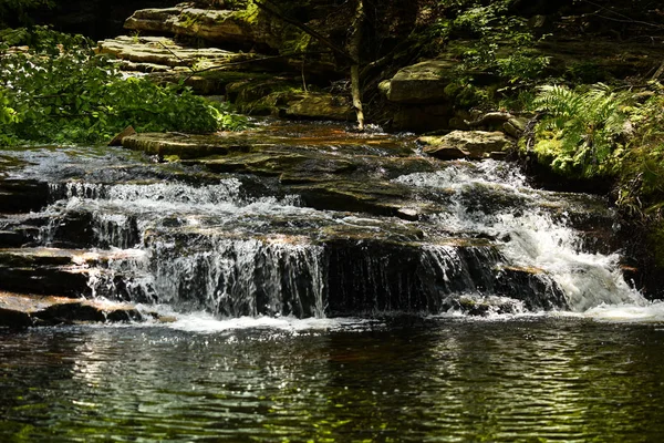 Bela Cachoeira Floresta — Fotografia de Stock
