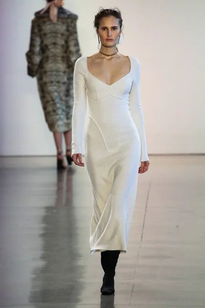 New York Şubat Model Alla Kostromichova New York Moda Haftası — Stok fotoğraf