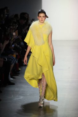 New York, Ny - Şubat 10: Manken pist oğlu Jung Wan için New York moda haftası sırasında yürür: gösterir Galerisi ben New York'ta 10 Şubat 2018 bahar stüdyolarında.