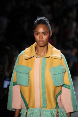 New York, Ny - Şubat 10: Manken pist oğlu Jung Wan için New York moda haftası sırasında yürür: gösterir Galerisi ben New York'ta 10 Şubat 2018 bahar stüdyolarında.