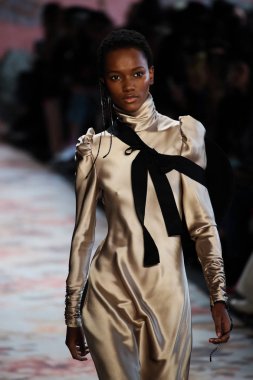 New York, Ny - 12 Şubat: Manken pist Zimmermann için New York moda haftası sırasında yürür: gösterir Galerisi ben New York'ta 12 Şubat 2018 bahar stüdyolarında. 