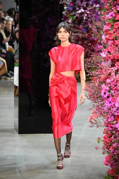 New York, Ny - Şubat 09: Manken Jason Wu sonbahar 2018 galeride giyen pist yürür ben New York'ta 9 Şubat 2018 bahar stüdyolarında. 