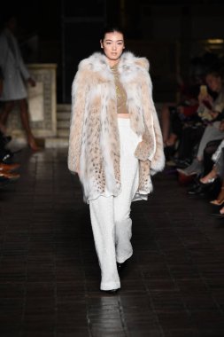 New York, Ny - 12 Şubat: Dennis Basso sırasında pist göster: New York City New York moda haftası St Bartholomew's Kilisesi Şubat 2018 üzerinde 12 Şubat 2018 kapsamında bir model yürür. 