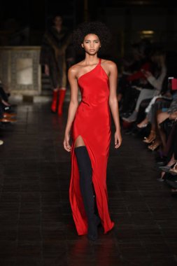 New York, Ny - 12 Şubat: Dennis Basso sırasında pist göster: New York City New York moda haftası St Bartholomew's Kilisesi Şubat 2018 üzerinde 12 Şubat 2018 kapsamında bir model yürür. 