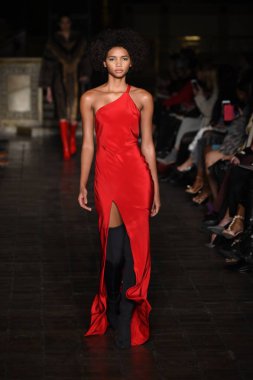 New York, Ny - 12 Şubat: Dennis Basso sırasında pist göster: New York City New York moda haftası St Bartholomew's Kilisesi Şubat 2018 üzerinde 12 Şubat 2018 kapsamında bir model yürür. 