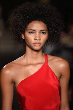 New York, Ny - 12 Şubat: Dennis Basso sırasında pist göster: New York City New York moda haftası St Bartholomew's Kilisesi Şubat 2018 üzerinde 12 Şubat 2018 kapsamında bir model yürür. 