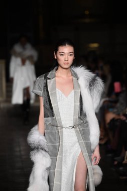 New York, Ny - 12 Şubat: Dennis Basso sırasında pist göster: New York City New York moda haftası St Bartholomew's Kilisesi Şubat 2018 üzerinde 12 Şubat 2018 kapsamında bir model yürür. 