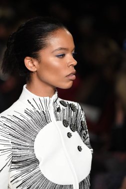 New York, Ny - 12 Şubat: Dennis Basso sırasında pist göster: New York City New York moda haftası St Bartholomew's Kilisesi Şubat 2018 üzerinde 12 Şubat 2018 kapsamında bir model yürür. 