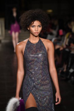 New York, Ny - 12 Şubat: Dennis Basso sırasında pist göster: New York City New York moda haftası St Bartholomew's Kilisesi Şubat 2018 üzerinde 12 Şubat 2018 kapsamında bir model yürür. 