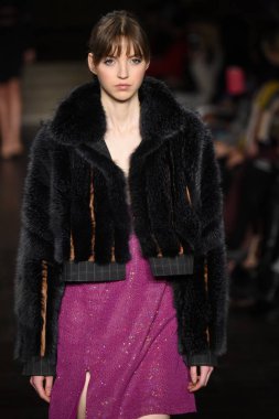 New York, Ny - 12 Şubat: Dennis Basso sırasında pist göster: New York City New York moda haftası St Bartholomew's Kilisesi Şubat 2018 üzerinde 12 Şubat 2018 kapsamında bir model yürür. 