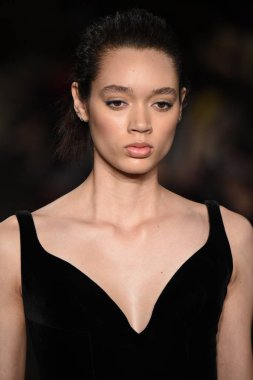 New York, Ny - 12 Şubat: Dennis Basso sırasında pist göster: New York City New York moda haftası St Bartholomew's Kilisesi Şubat 2018 üzerinde 12 Şubat 2018 kapsamında bir model yürür. 