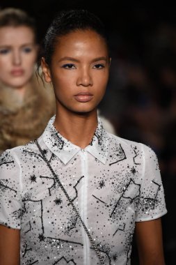 New York, Ny - 12 Şubat: Modelleri yürüyüş pist finale New York'ta New York moda haftası St Bartholomew's Kilisesi Şubat 2018 üzerinde 12 Şubat 2018 kapsamında Dennis Basso gösterisi sırasında. 