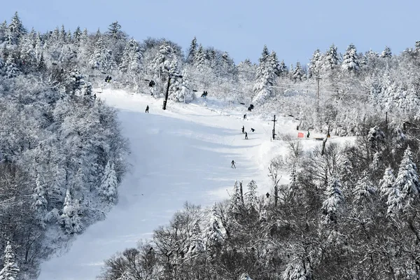 Killington, ABD - Kasım 24: Audi FIS alp Kayak Dünya Kupası bayanlar dev Slalom 24 Kasım 2018 üzerinde Killington ABD sırasında genel görünümü.