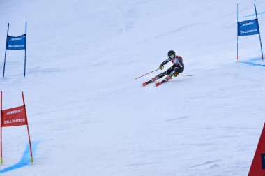 Killington, Vermont - 24 Kasım: Norveçli Kristine Gjelten Haugen, 24 Kasım 2018'de Killington, Vermont'ta düzenlenen Audi Fis Kayak Dünya Kupası'nda Dev Slalom'un ilk koşusunda yarışıyor.